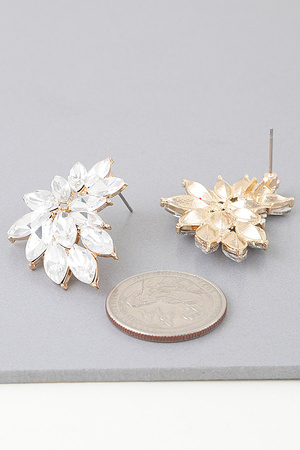 Shiny Leaves Earrings